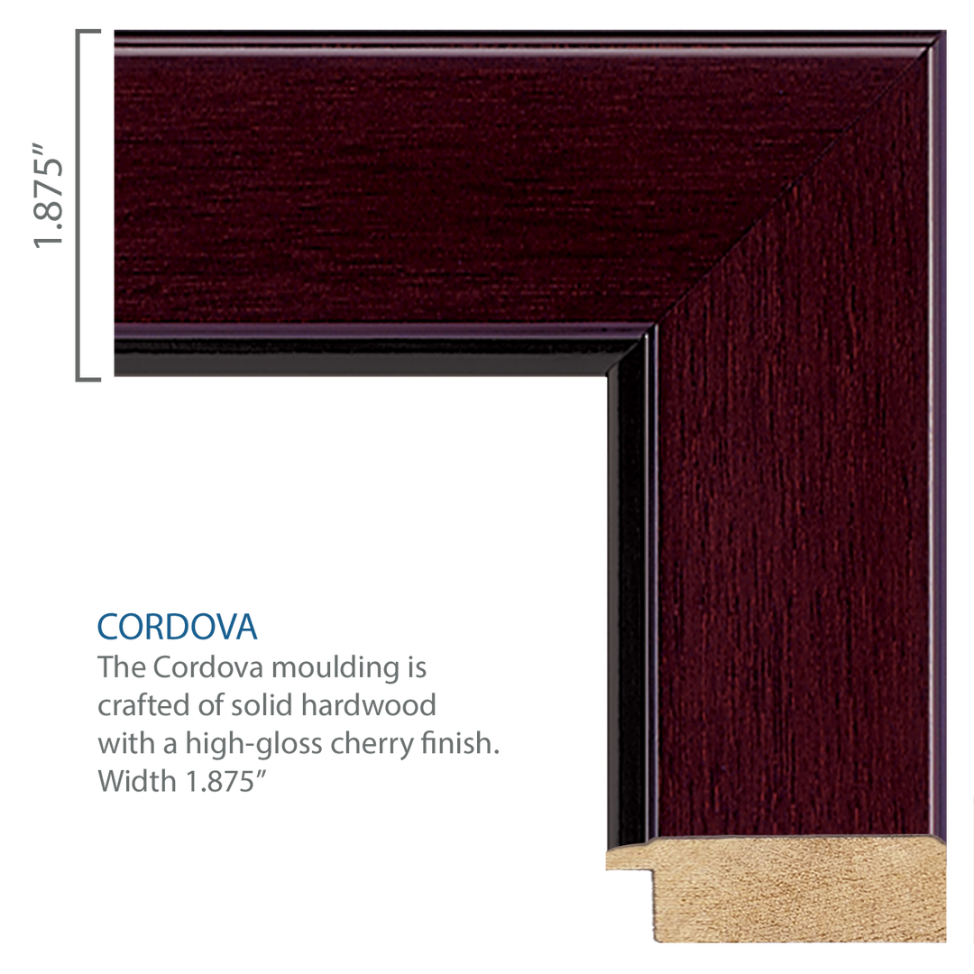 U.S. Navy Century Gold Engraved Certificate Frame (Horizontal)*