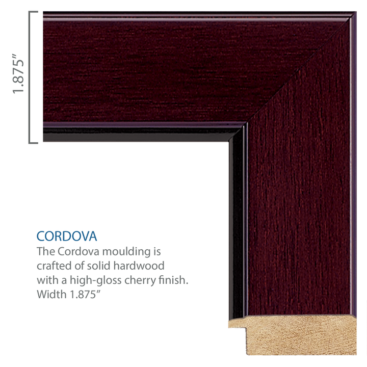 U.S. Navy Century Gold Engraved Certificate Frame (Vertical)*