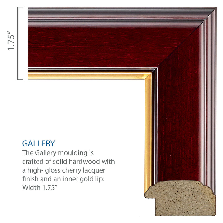 U.S. Navy Gold Embossed Certificate Frame (Horizontal)*