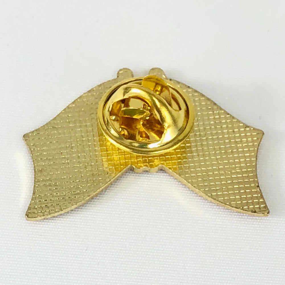 Navy USA Lapel Pin